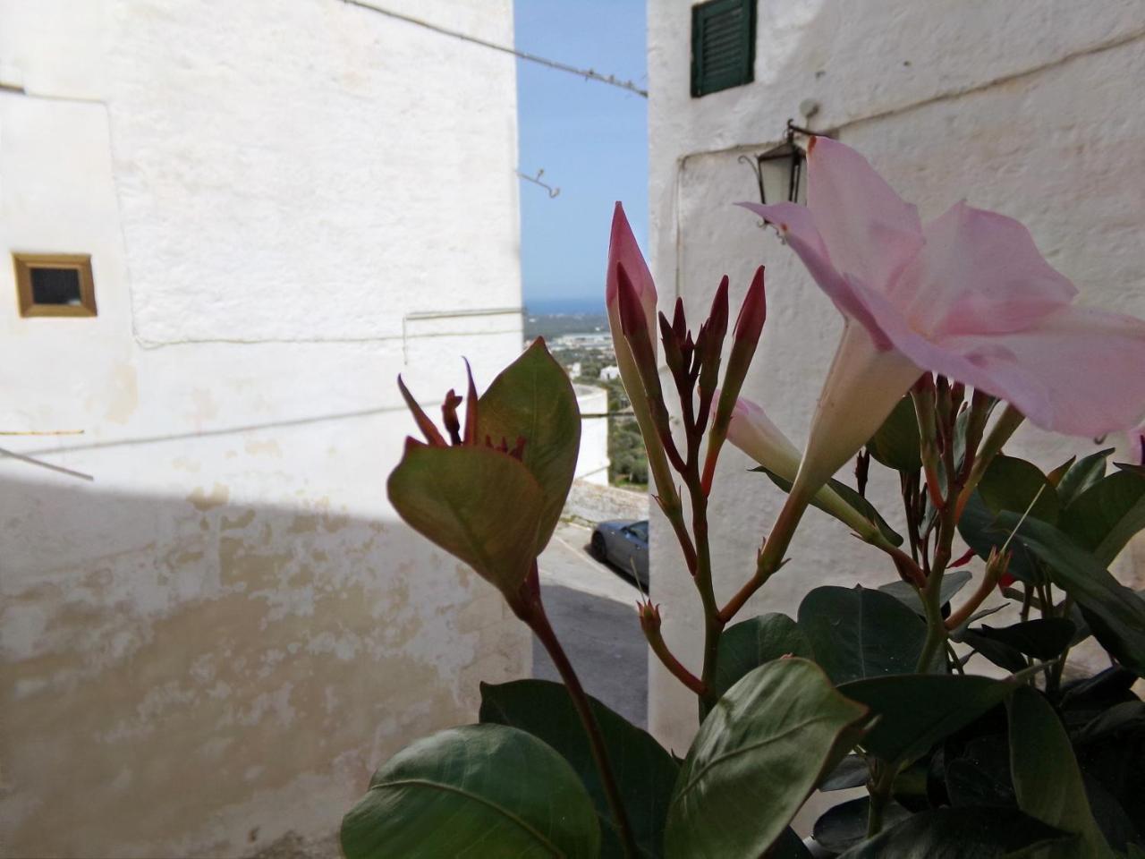 Le Tre Volte Villa Ostuni Ngoại thất bức ảnh